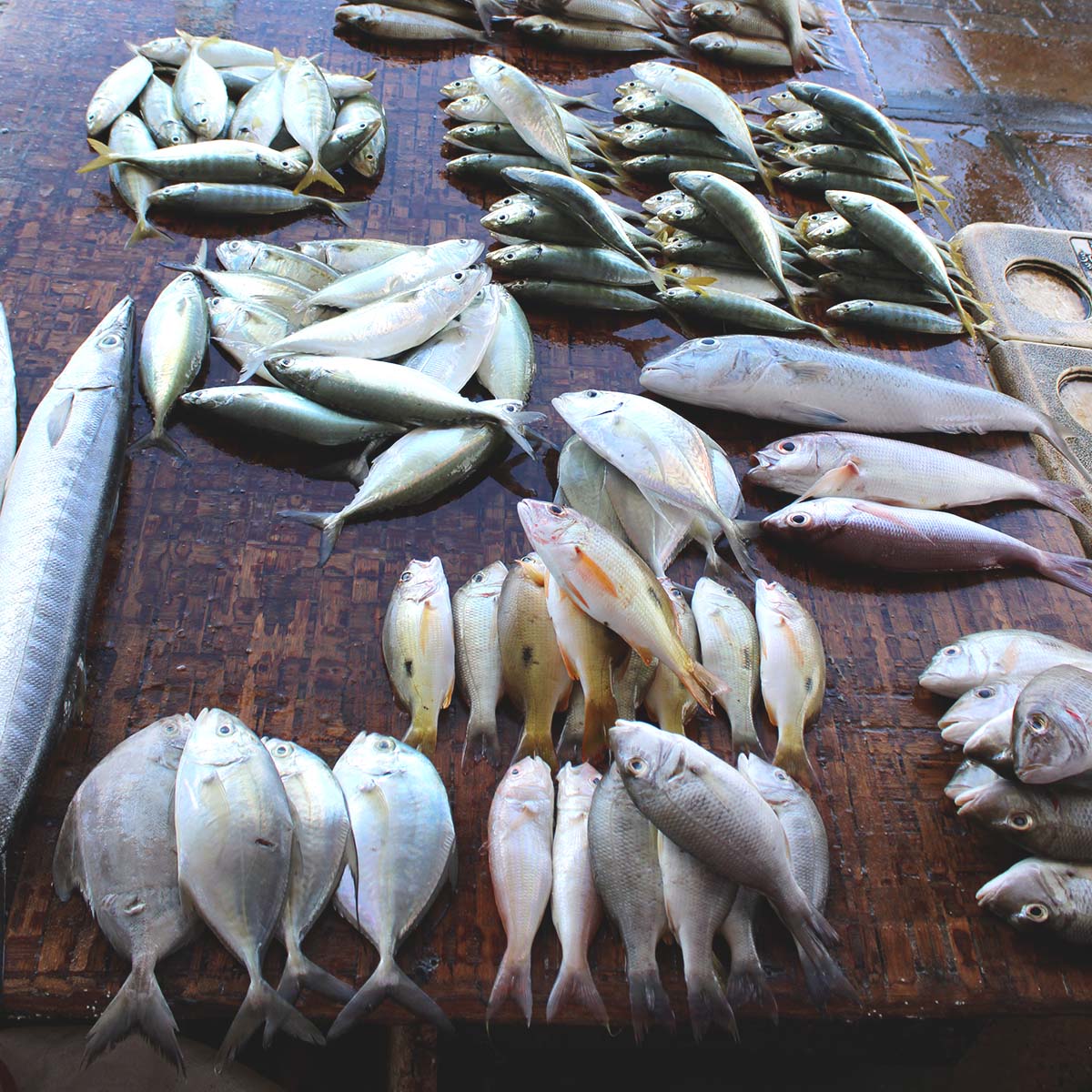 Etalage de poissons à Dar-es-Salaam en Tanzanie