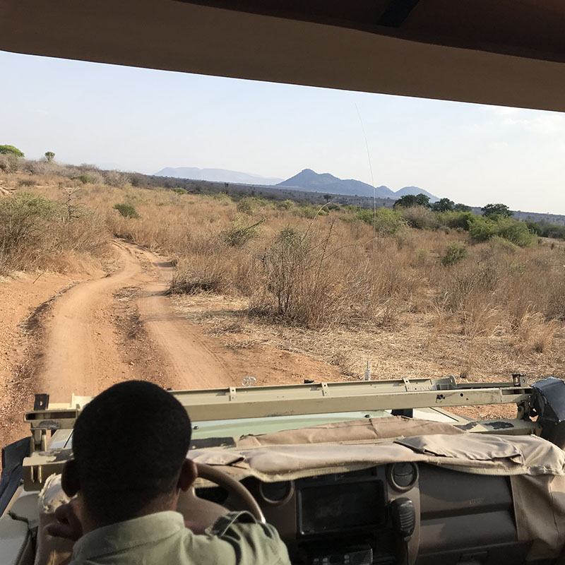 activité safari 4x4 Tanzanie découverte