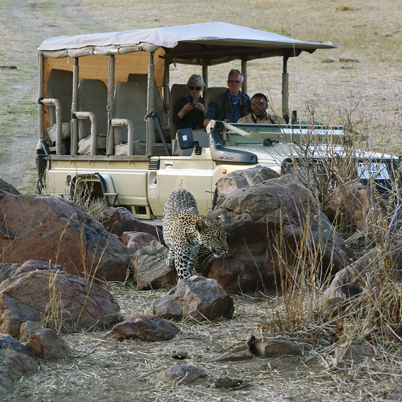 activité safari 4x4 en Tanzanie