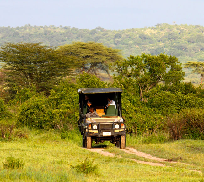 safari 4x4 en Tanzanie avec Asanterra