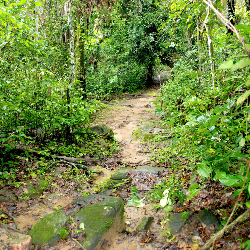 Parc national de Mahale en Tanzanie / Mount Mahale National Park in Tanzania