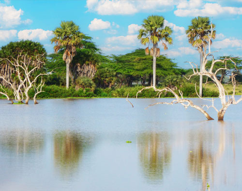 Parc National de Nyerere avec Asanterra