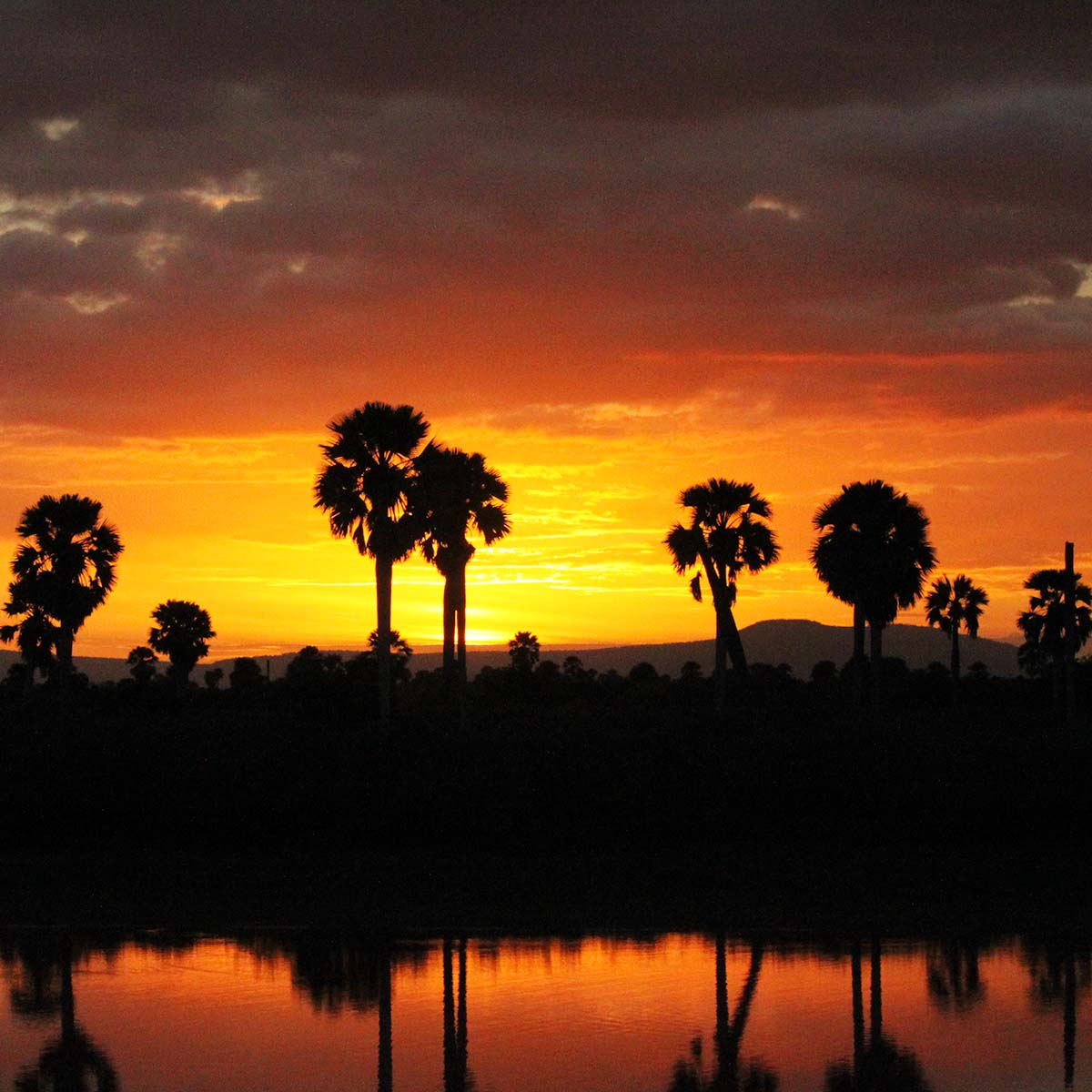 Un coucher de soleil au parc national de Nyerere ex-Selous en Tanzanie