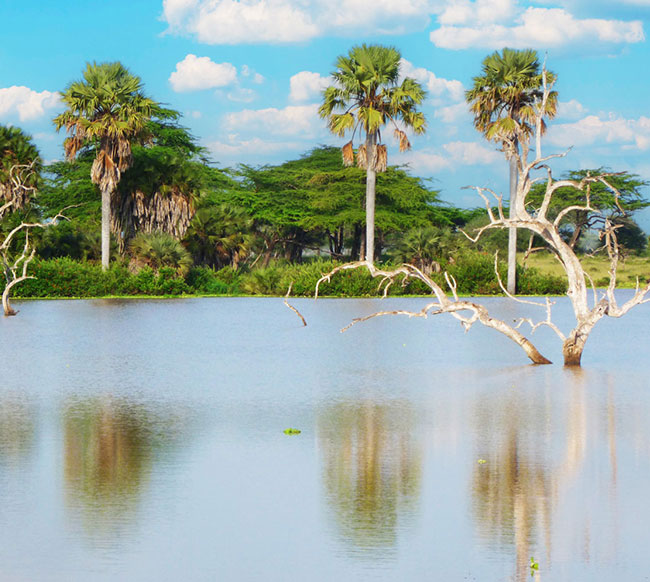 parc national de Nyerere ex-Selous en Tanzanie