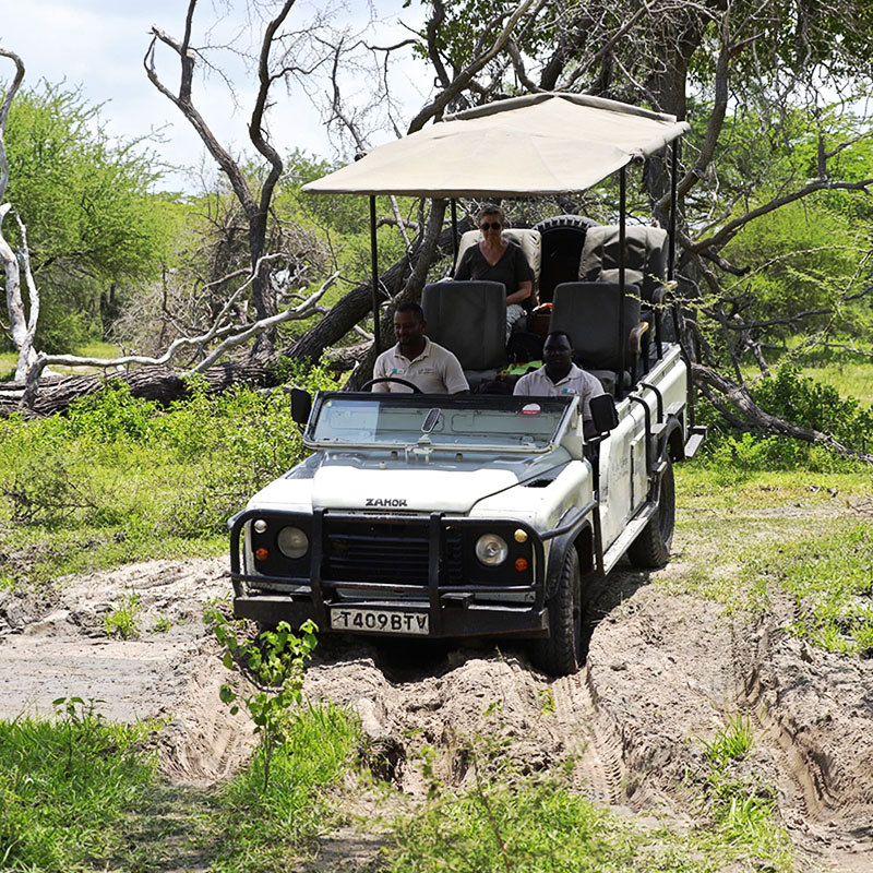 Safari 4x4 avec Asanterra en Afrique dans la Tanzanie