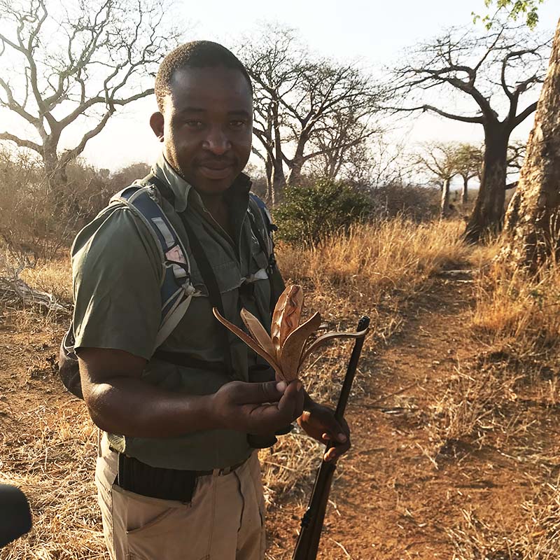 safari à pied une activité découverte proposée par Asanterra