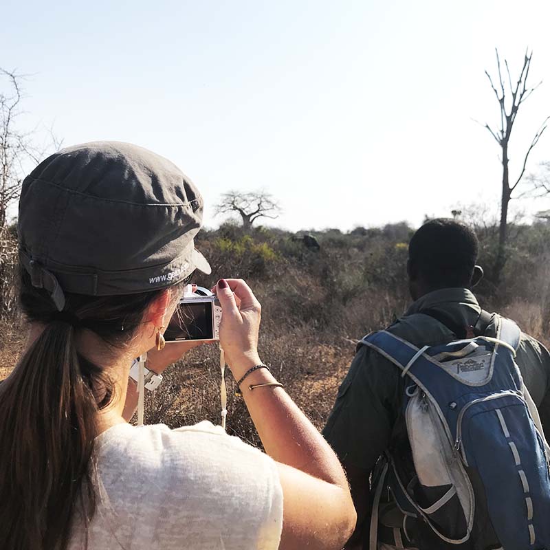 safari à pied en Afrique