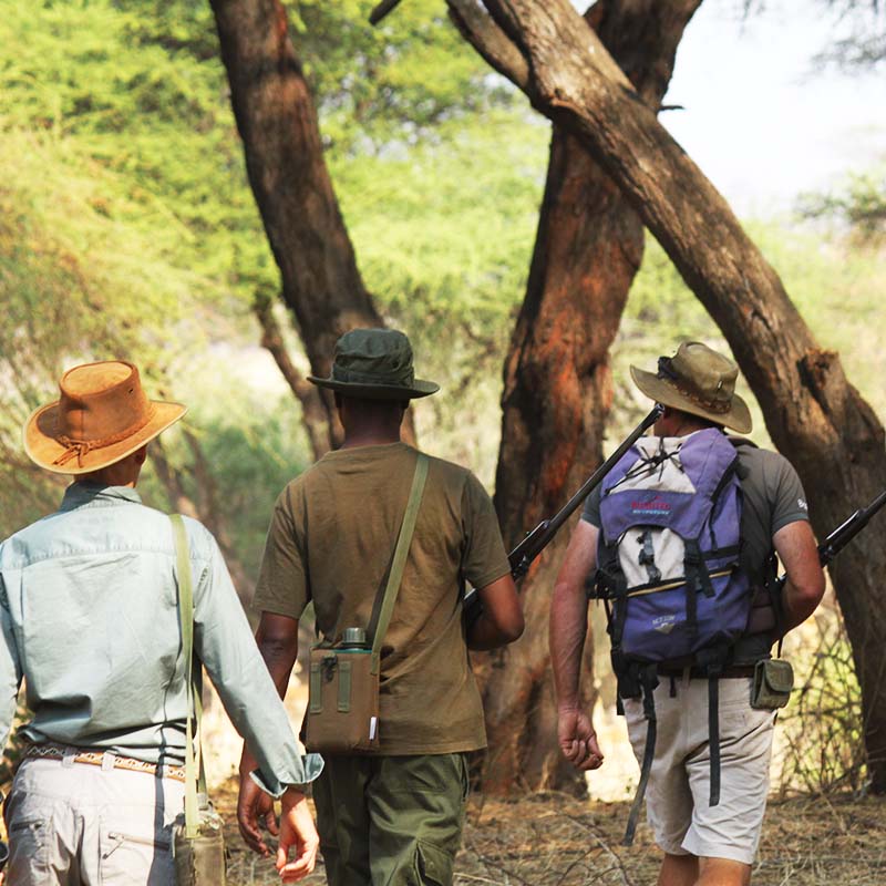safari à pied avec Asanterra