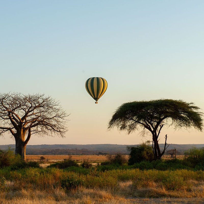safari en ballon en Tanzanie avec Asanterra