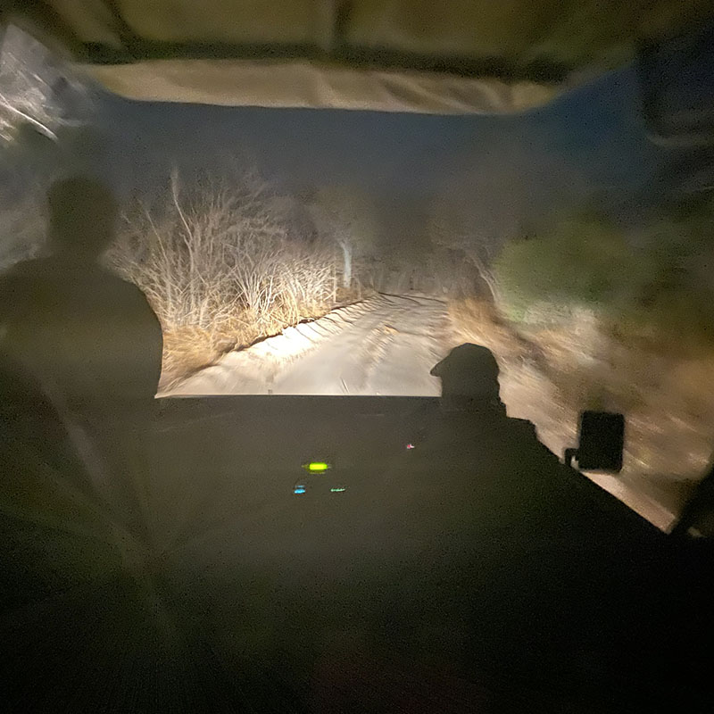 safari de nuit en Tanzanie en 4x4