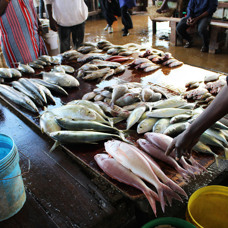 visite culturelle Tanzanie avec la pêche