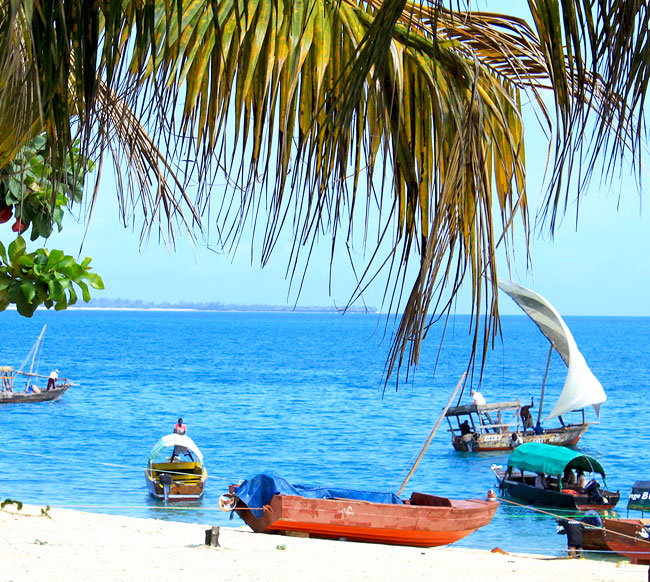Asanterra et l'île de Zanzibar en Tanzanie