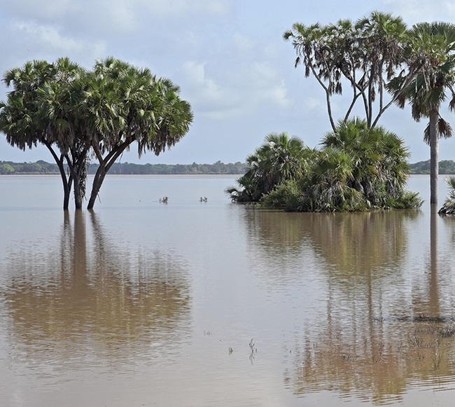 Lac au parc national de Nyerere (ex.Selous) / Lake at Nyerere National Park in Tanzania