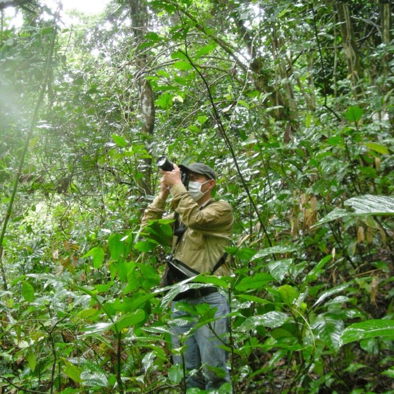 Photographe de chimpanzés à Mahale en Tanzanie / Photographer of chimps at Mahale in Tanzania