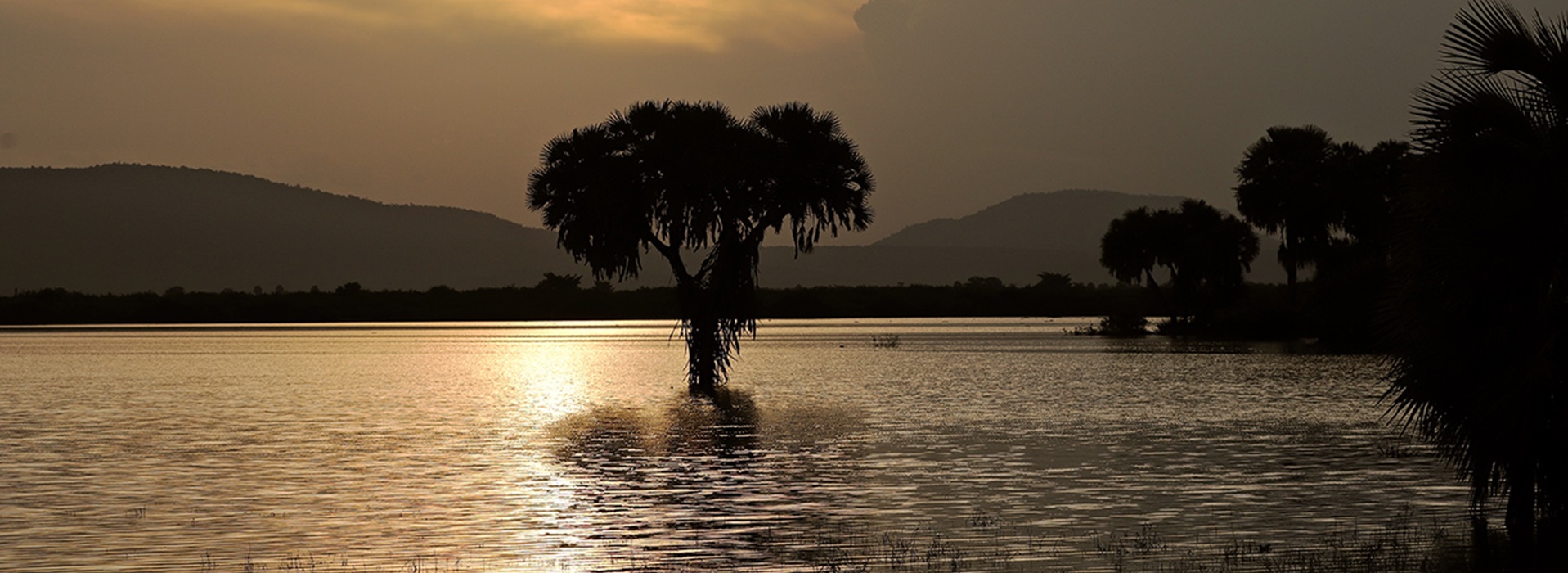 Lake Manze at Nyerere National Park (ex. Selous) / Le lac Manze au parc de Nyerere en Tanzanie