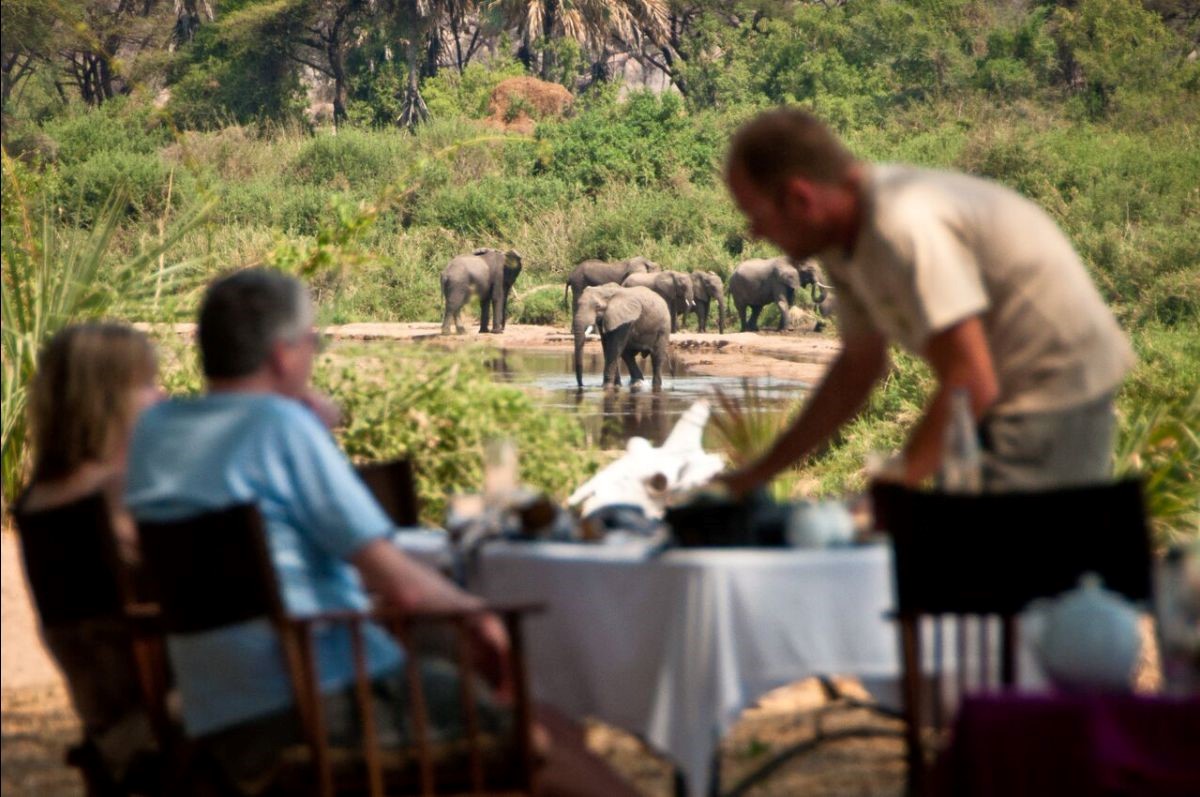 Eléphants durant le déjeuner dans la brousse au parc de Ruaha en Tanzanie