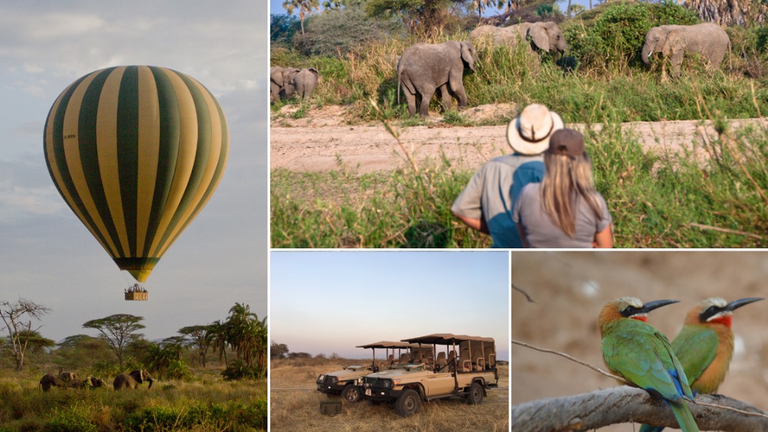 Activités au parc de Ruaha en Tanzanie: safari en montgolfière, safari à pied, safari en 4x4, observation des oiseaux