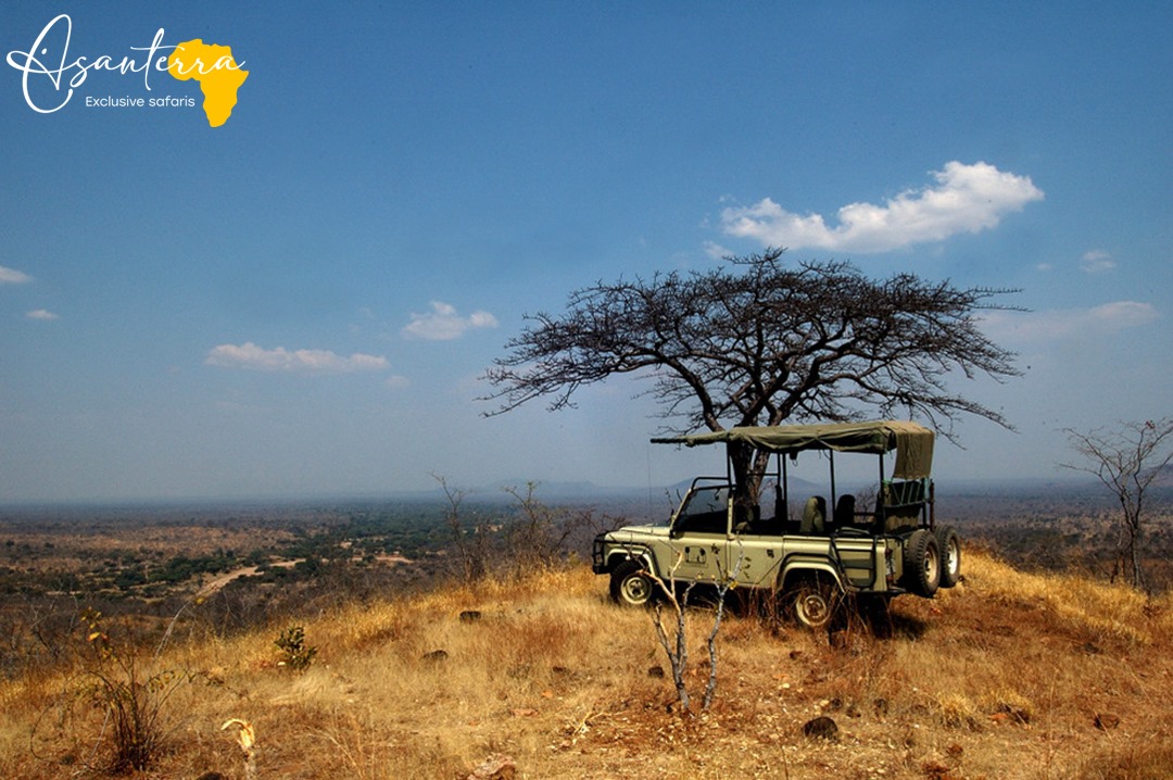 Game drive in Ruaha National Park in Tanzania