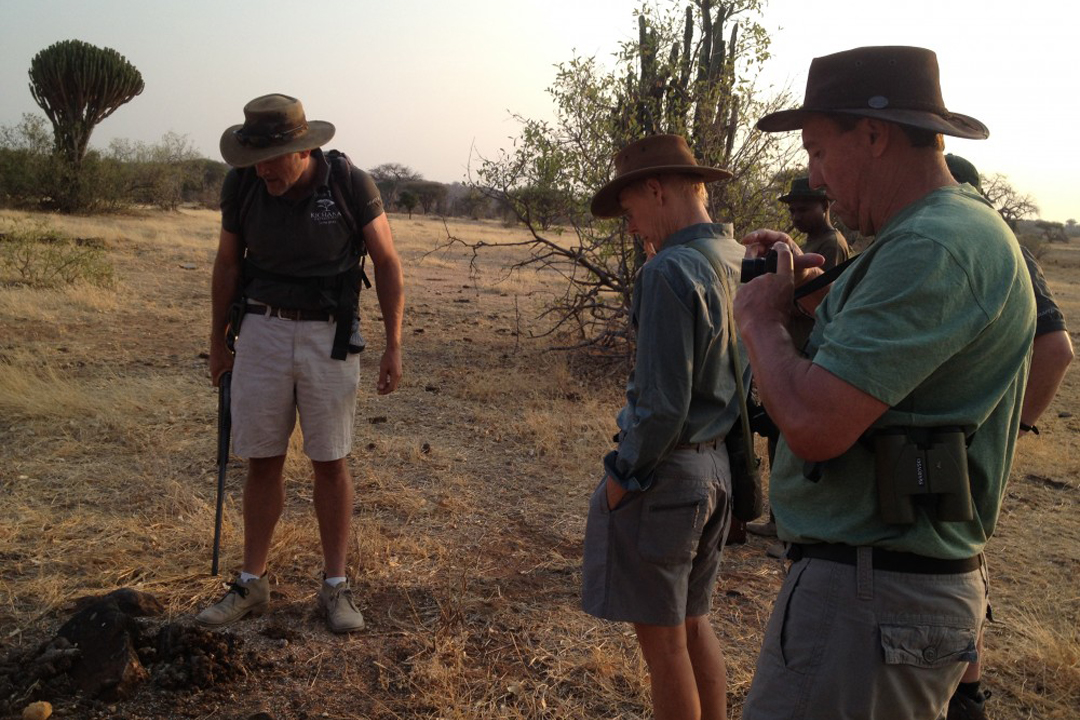 Safari à pied