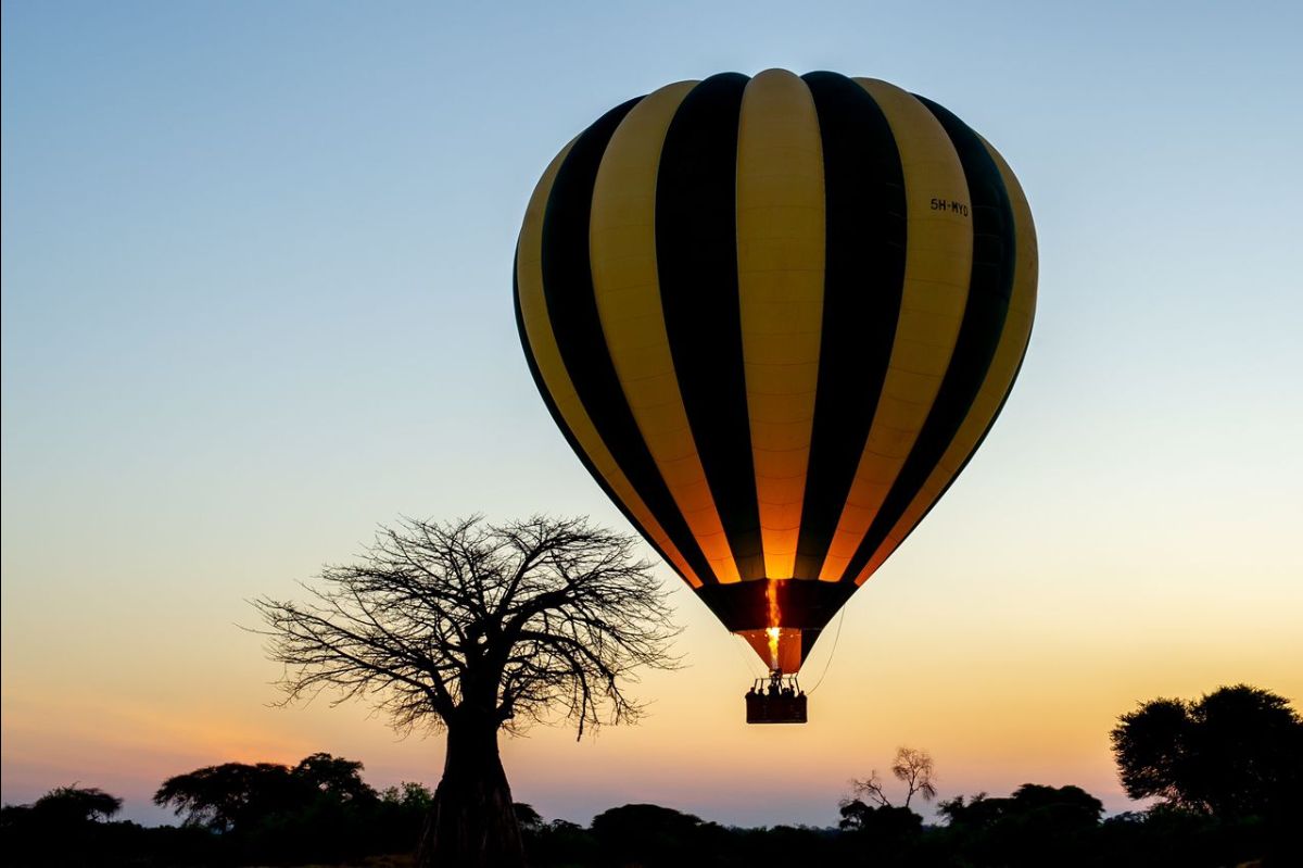 Balloon Safari