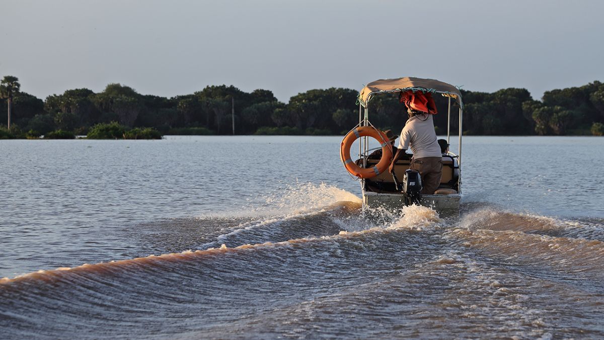 Boat Safari in Nyerere National Park