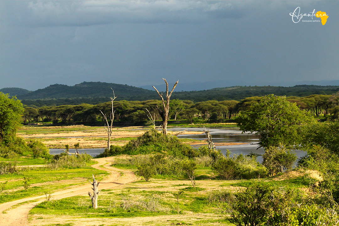 Ruaha NP